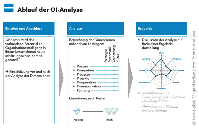 Organisationsintelligenz-Analyse: Ablauf und Frage-Matrix von new&able. Bild: copy new&able