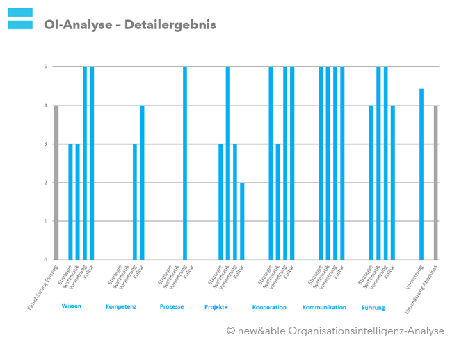 Organisationsintelligenz-Analyse: Ergebnisse (Säulen). Bild: copy new&able
